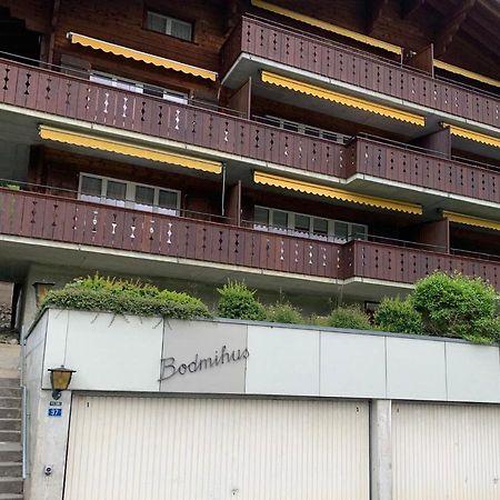 Luxury, New - Amazing Views Grindelwald Eiger Jungfrau Moench Apartment Exterior photo
